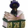 Nemesis Now Binx Spellbook Box -Nemesis Now Shop nemesis now binx spellbook box p29656 52377 image