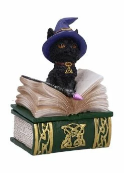 Nemesis Now Binx Spellbook Box