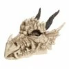 Nemesis Now Dragon Skull Box