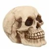 Nemesis Now Joker Skull Ornament -Nemesis Now Shop nemesis now joker skull ornament p27412 45112 image
