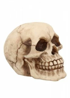 Nemesis Now Joker Skull Ornament