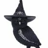 Nemesis Now Owlocen Hanging Ornament -Nemesis Now Shop nemesis now owlocen hanging ornament p30228 53919 image