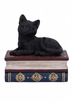 Nemesis Now Salems Spells Box